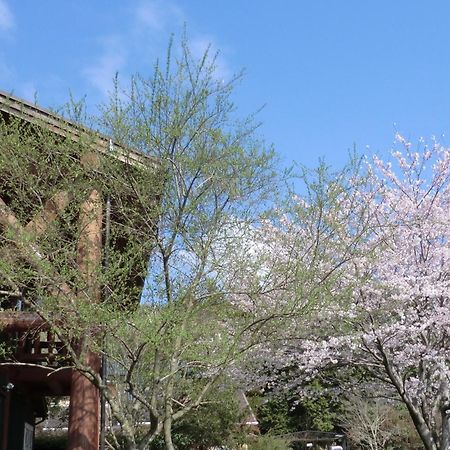 Lassy Condominium Kumamoto Eksteriør billede
