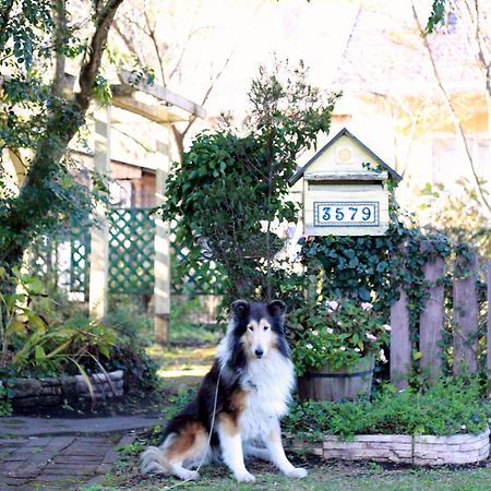 Lassy Condominium Kumamoto Eksteriør billede